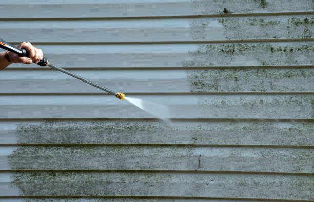 Certified Mold Removal in South Pasadena, FL